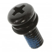 Single Screw