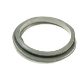 Door seal (gasket)