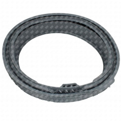 Door seal (gasket)