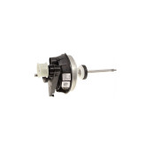 Motor assembly