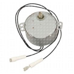 Motor with terminals