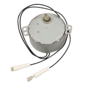 Motor with terminals