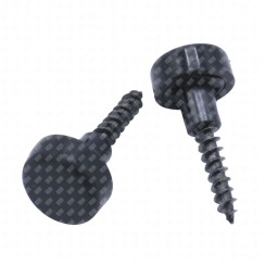 Facade fixing screw
