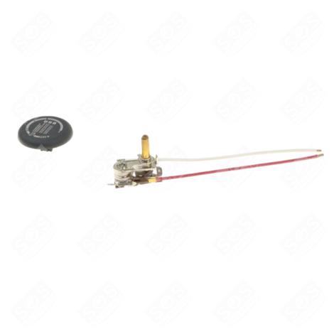 THERMOSTAT KIT WITH THERMAL FUSE STEAM IRONS / STEAM GENERATOR IRONS - SLDB2683