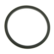 Sealing ring