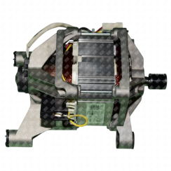 Universal motor
