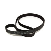Belt 1204H8 MAEL