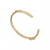 Ring for Combination Vacuum