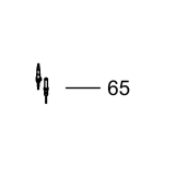 Original euro 750mm spark plug