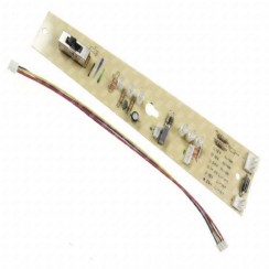 Electronic module