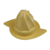 Juicer cone