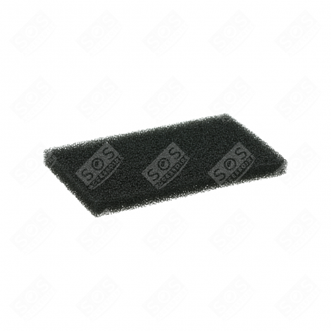 AIR OUTLET FILTER (ORIGINAL) VACUUM CLEANER  - 00172139