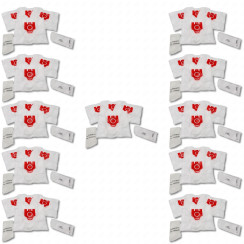 Set of 11 boxes of 4 synthetic FJM compatible dust bags