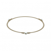 Drive ring of the tray