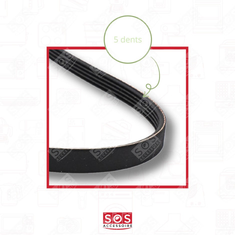 1194 J6 J5 DRIVE BELT WASHING MACHINES - C00144846, AS0067609