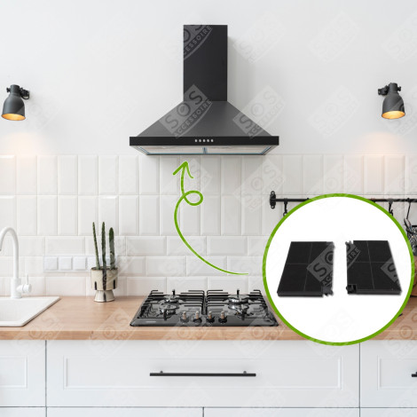 SET OF 2X ROBLIN 5403002 23CM X 15CM CARBON FILTERS EXTRACTOR HOOD - 5403002, EFF55