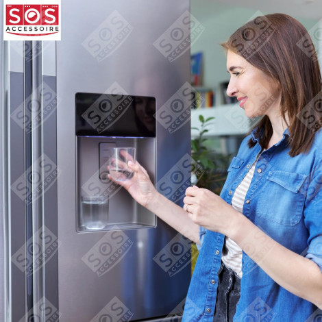 SET OF 2 AQUAPURE / APP100 WATER FILTERS REFRIGERATOR, FREEZER - 484000000513