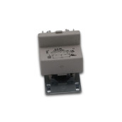 Anti-parasite filter