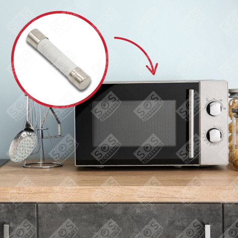 12A FUSE MICROWAVE OVENS - 75X0120