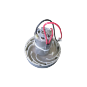 Engine with thermostat