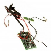 Electronic module