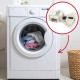 DOOR LOCK WASHING MACHINES - C00628818, 488000309745