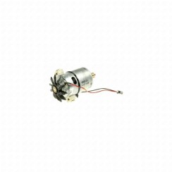 Motor with flange
