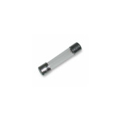 Fusible 20mm rapide 10a (A l'unité)