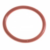 Drain valve gasket
