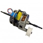 Motor with pulley