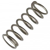 Valve spring
