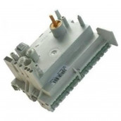 Electronic module
