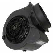 Fan motor
