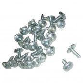 Original bag of 30 screws