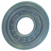 Bearing seal
