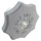 Salt container cap