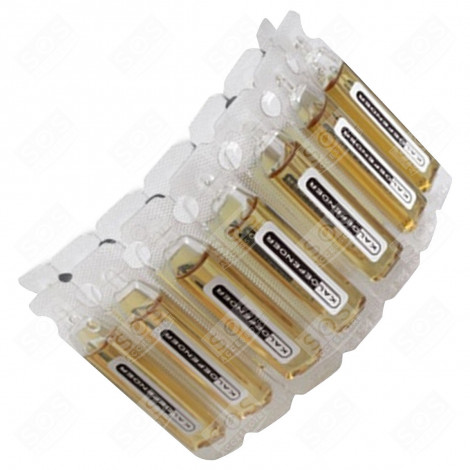 DESCALING STEAM CLEANER - 8063160