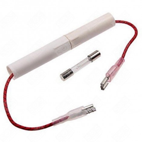 FUSE MICROWAVE OVENS - 6901WRH001B