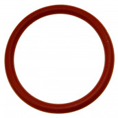 Tank cap gasket