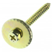Stand screw (5X50MM)