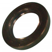 Bearing seal