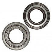 Bearing seal