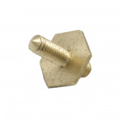 Pivot screw