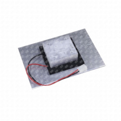 Thermo electric module