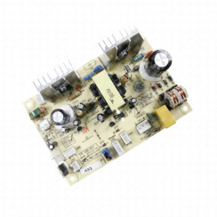 Electronic module