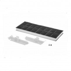 Carbon filter (sold individually) (original)