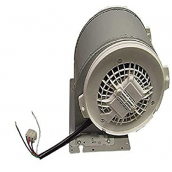 Fan motor