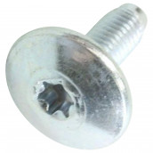 Original M8x23 Torx screw