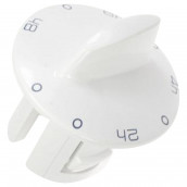 Delayed start button