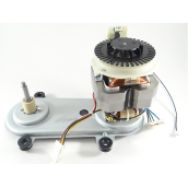 Complete motor COMPANION